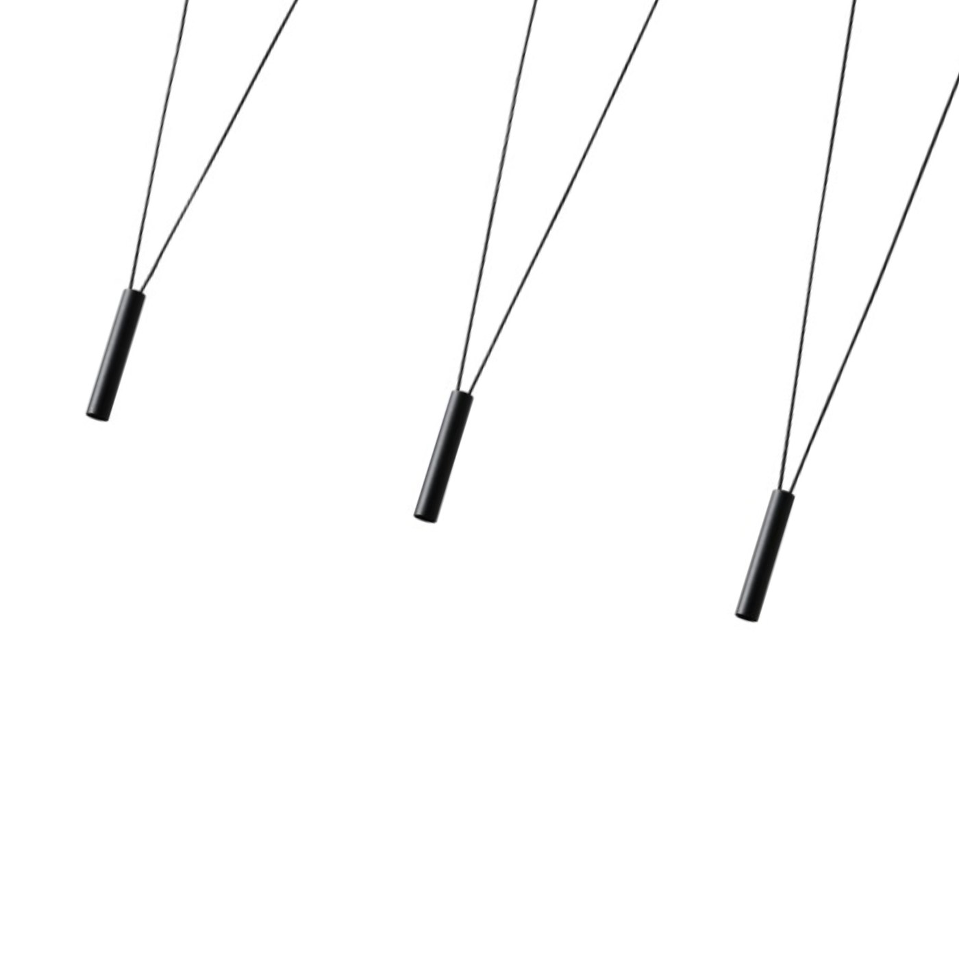 Viva V Nero - obrazek 3