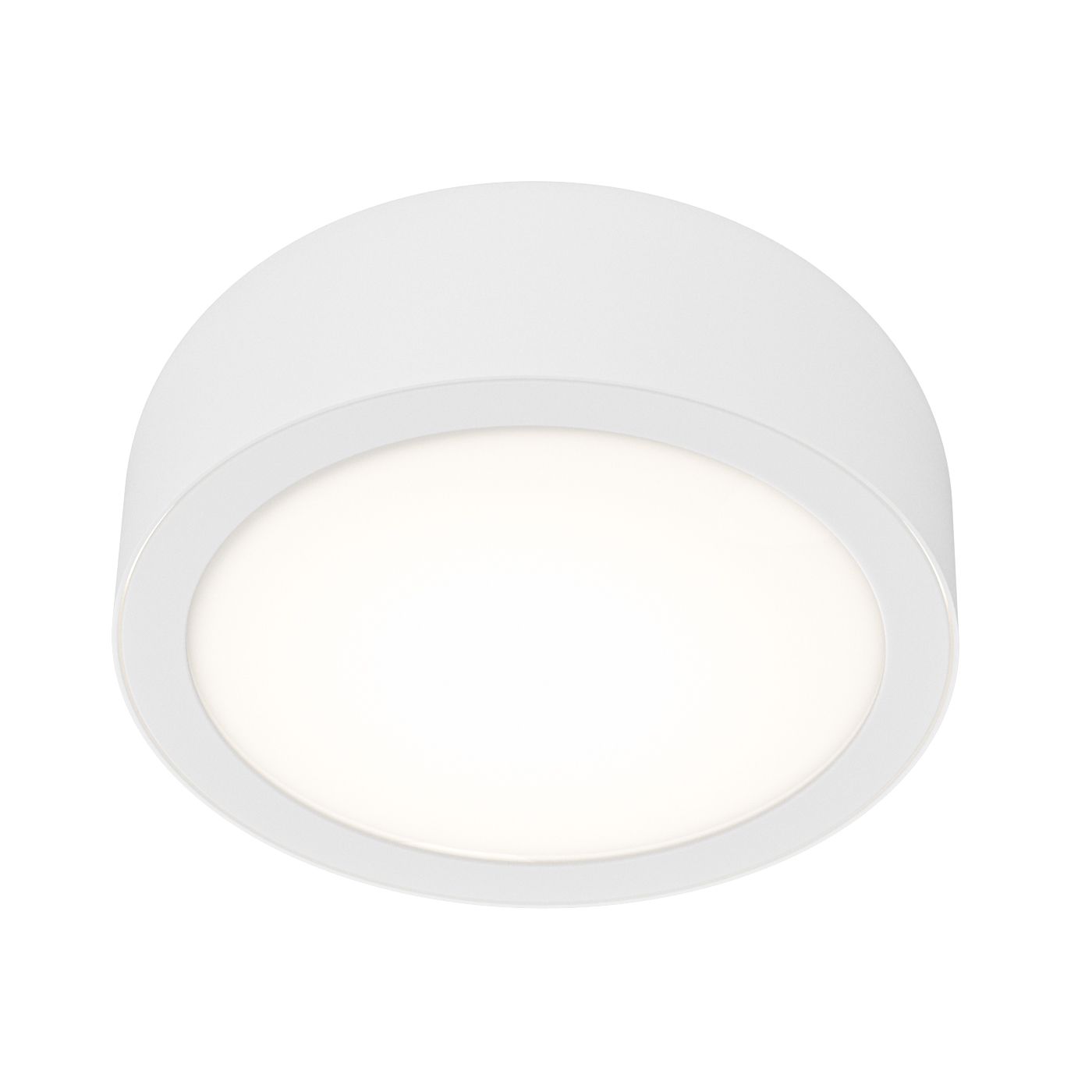 Cedrone PL Bianco 12 CCT - Image 5