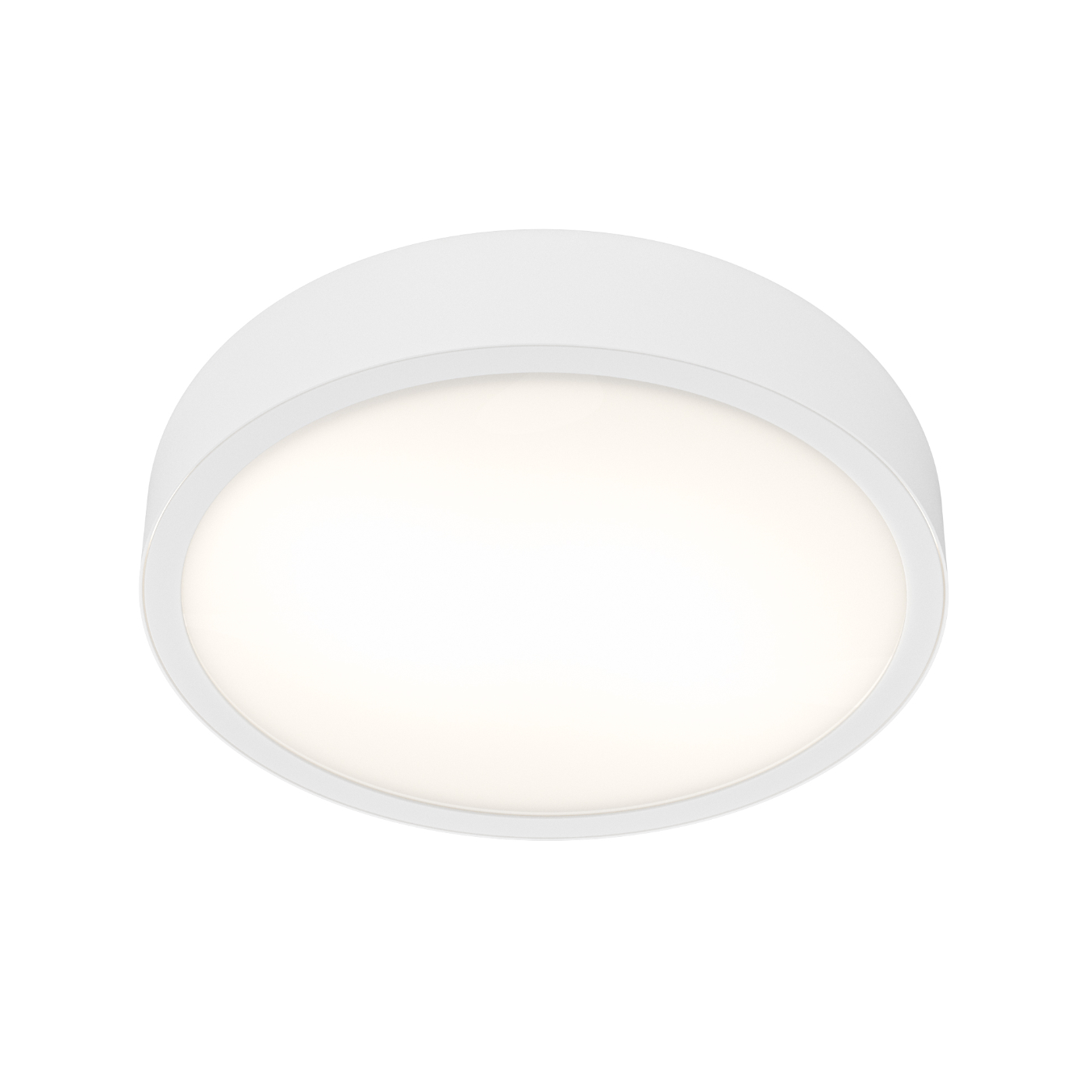 Cedrone PL Bianco 22 CCT - Image 4