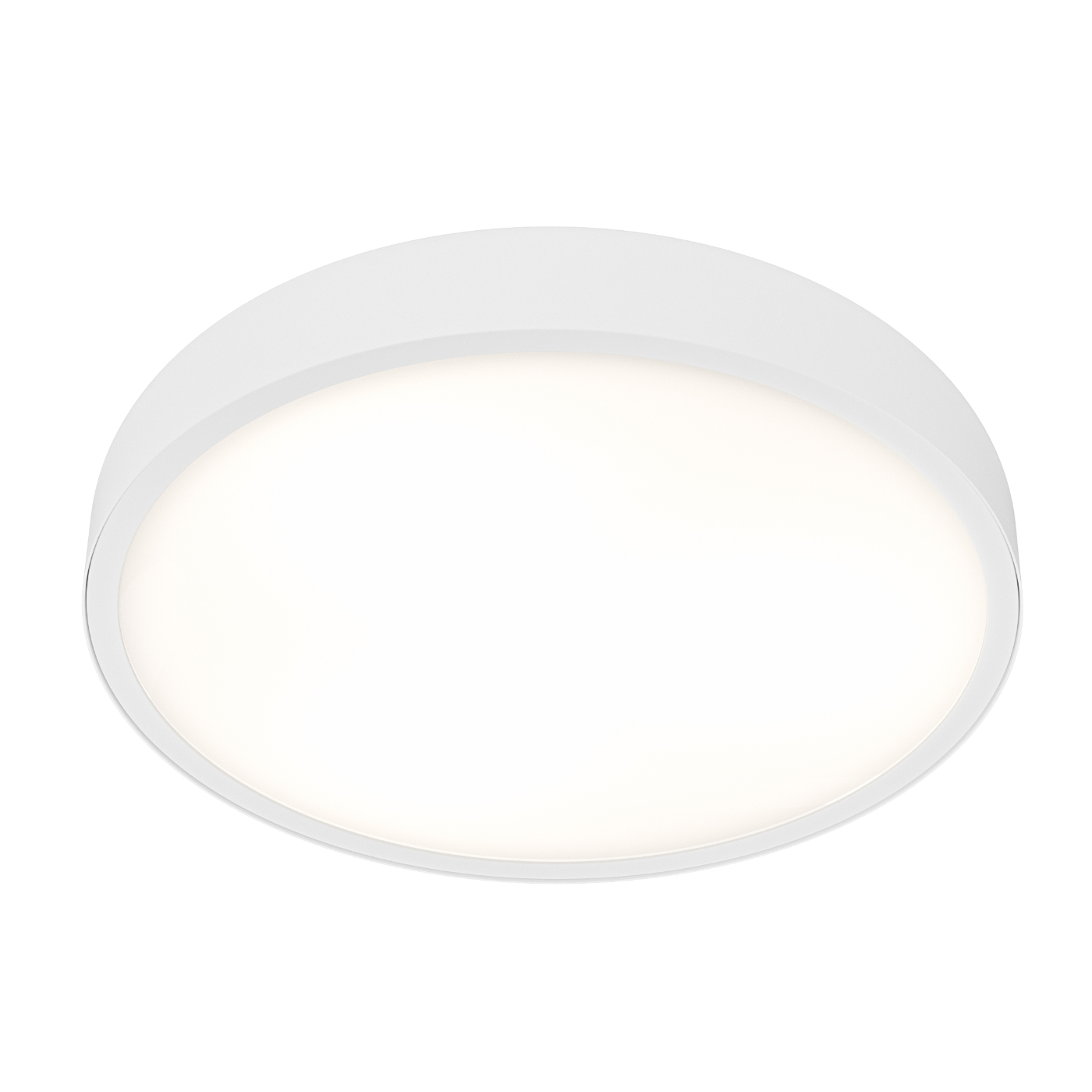 Cedrone Pl Bianco 30 CCT - obrazek 5